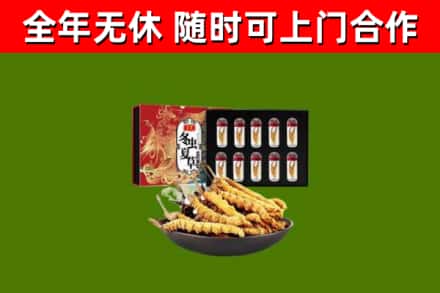 新兴区烟酒回收冬虫夏草礼盒.jpg